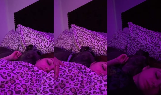 ladieexquisit.2.0 TikTok Live — Sep 29, 2026, 12:21 PM