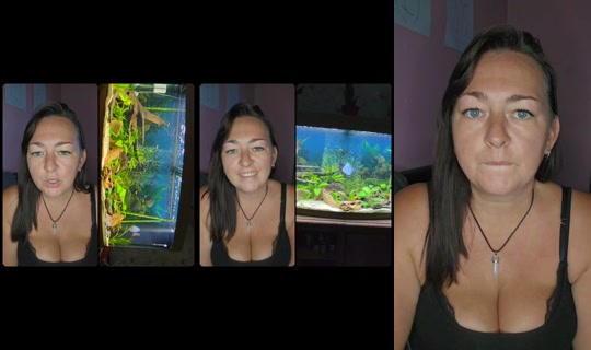ladyphoenix.x TikTok Live — Aug 24, 2026, 6:58 PM