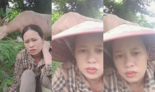 laidang75 TikTok Live — Aug 31, 2026, 9:24 AM