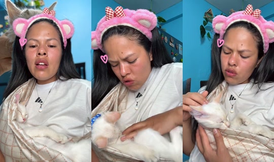 lajefamara TikTok Live — Aug 25, 2026, 2:49 AM