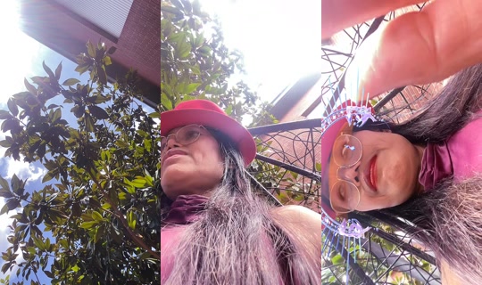 lakkkk499 TikTok Live — Aug 23, 2026, 11:47 AM