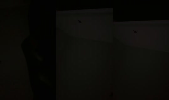 lapaooficial24 TikTok Live — Aug 22, 2026, 5:17 AM