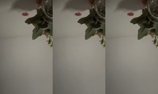 lapaooficial24 TikTok Live — Aug 24, 2026, 10:00 PM