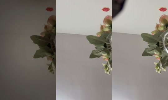 lapaooficial24 TikTok Live — Aug 29, 2026, 10:01 PM