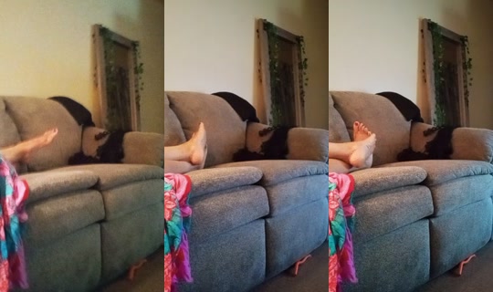 latees22 TikTok Live — Aug 23, 2026, 3:28 AM