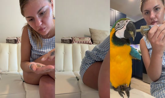 laur3546 TikTok Live — Sep 1, 2026, 5:49 PM