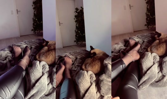 lauradenier TikTok Live — Oct 4, 2026, 10:03 PM