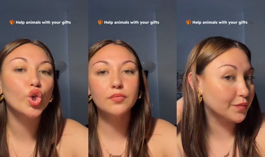 laurencooperspams TikTok Live — Aug 26, 2026, 12:14 PM