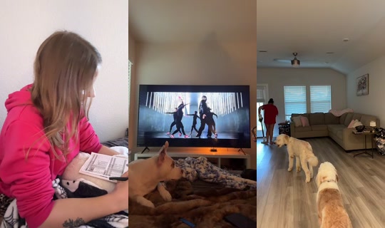lauryn..elaine TikTok Live — Oct 4, 2026, 11:09 PM
