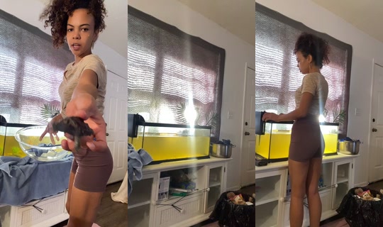 layaeverett TikTok Live — Sep 20, 2026, 6:51 PM