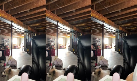 laylanicole.06 TikTok Live — Sep 18, 2026, 8:57 PM