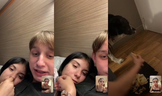 le_serpent_ TikTok Live — Aug 24, 2026, 2:31 AM