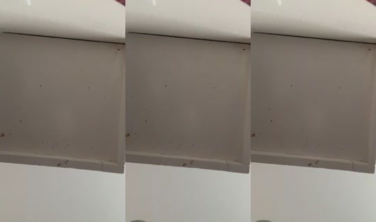 leba321456 TikTok Live — Aug 23, 2026, 3:14 PM