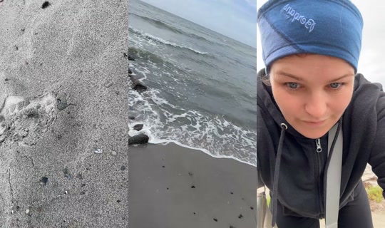 lena_langstrumpf.13 TikTok Live — Aug 28, 2026, 1:29 PM