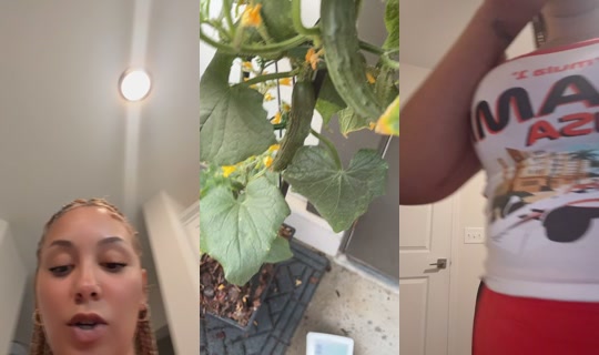 lexiebernaye TikTok Live — Aug 26, 2026, 11:17 PM