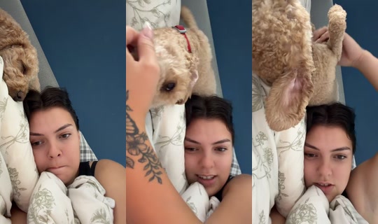 libbywes TikTok Live — Sep 30, 2026, 2:04 PM
