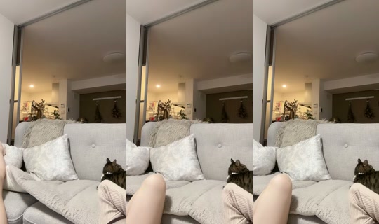 libon_tyan TikTok Live — Sep 30, 2026, 1:55 PM