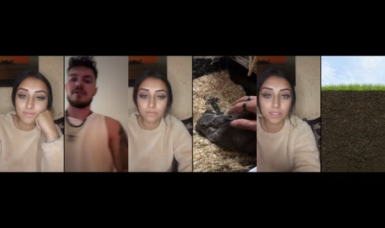 lilikehh28 TikTok Live — Oct 3, 2026, 7:55 PM