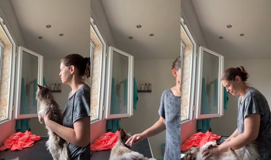 lilly_et_austrachiens TikTok Live — Sep 6, 2026, 8:13 AM