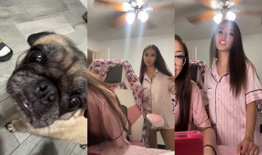 liltaygoat TikTok Live — Oct 2, 2026, 5:30 AM