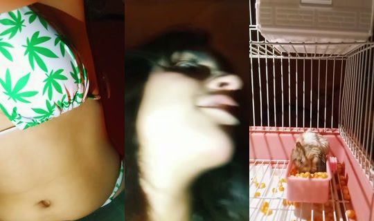 limonadaaadefresaa TikTok Live — Sep 28, 2026, 2:34 AM