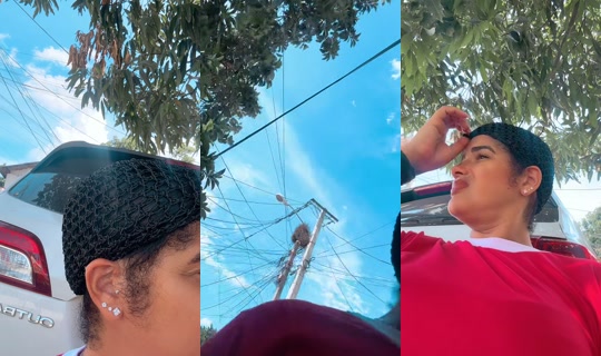 lindamichelbarrie TikTok Live — Aug 24, 2026, 7:23 PM