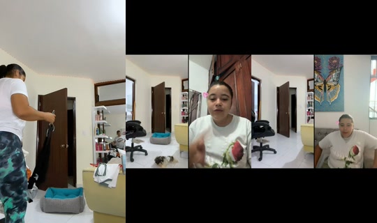 lindamichelbarrie TikTok Live — Aug 29, 2026, 11:03 AM