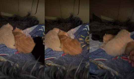 lindasihvolase TikTok Live — Aug 20, 2026, 10:41 AM