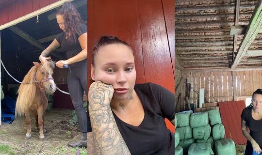lindasihvolase TikTok Live — Aug 24, 2026, 10:21 AM