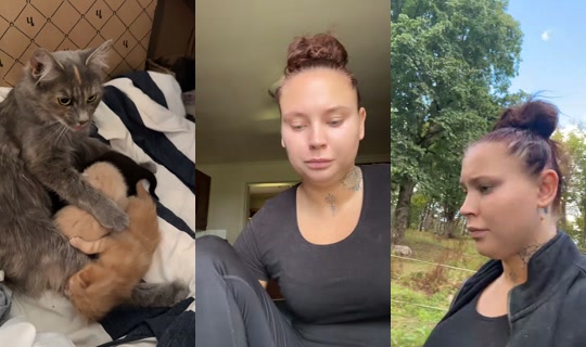 lindasihvolase TikTok Live — Aug 24, 2026, 11:11 AM