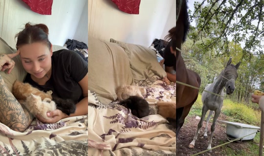 lindasihvolase TikTok Live — Sep 1, 2026, 1:33 PM