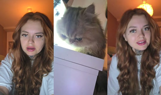 linoouux TikTok Live — Sep 7, 2026, 10:30 PM