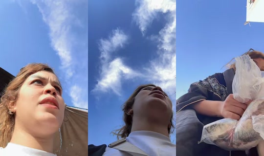 lioness973 TikTok Live — Oct 8, 2026, 3:12 PM