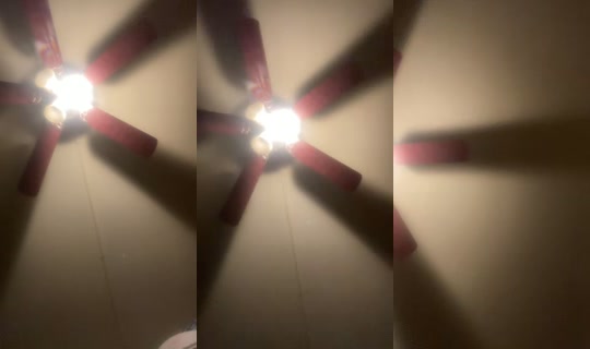 lisareese75 TikTok Live — Aug 25, 2026, 5:46 AM