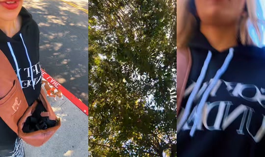 littlelexxi TikTok Live — Aug 26, 2026, 10:00 PM