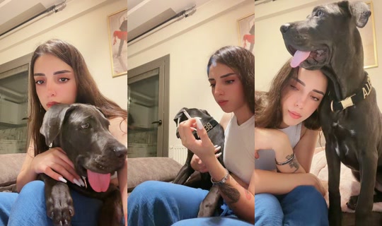 ll.user.2 TikTok Live — Aug 22, 2026, 8:12 PM