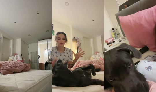ll.user.2 TikTok Live — Sep 30, 2026, 8:41 PM