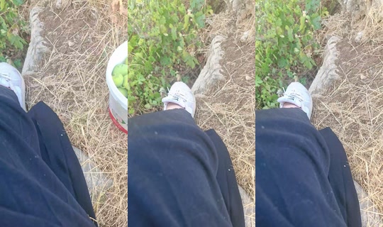 lolitakl3 TikTok Live — Aug 23, 2026, 2:38 PM