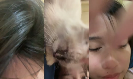 losingusm TikTok Live — Oct 4, 2026, 3:57 PM