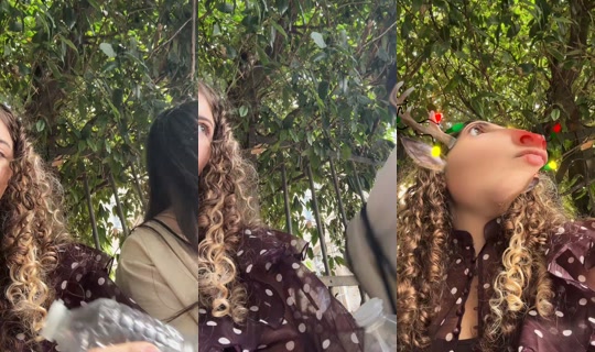 louiizze.brno TikTok Live — Sep 30, 2026, 11:46 AM