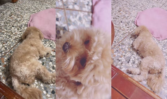 love1617225 TikTok Live — Sep 24, 2026, 8:45 PM