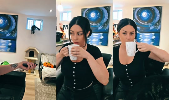 lovelife13203 TikTok Live — Sep 30, 2026, 1:38 PM