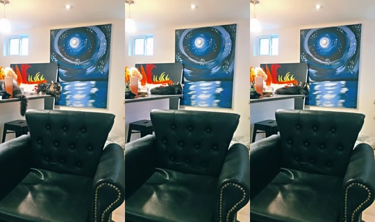lovelife13203 TikTok Live — Oct 4, 2026, 8:28 PM