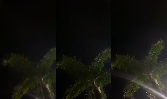 lovergirllynnn TikTok Live — Aug 21, 2026, 4:25 AM