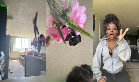 luh_woodaaa TikTok Live — Aug 24, 2026, 5:36 PM