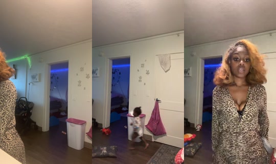 luh_woodaaa TikTok Live — Sep 6, 2026, 11:52 PM