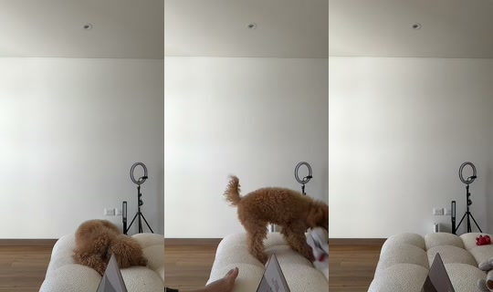 lumiere.erika TikTok Live — Aug 21, 2026, 7:55 PM