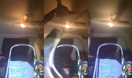 luna.loves.me123 TikTok Live — Sep 18, 2026, 10:33 PM