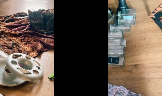 lynxk_ TikTok Live — Sep 13, 2026, 7:03 AM
