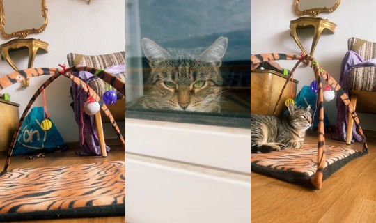 lynxk_ TikTok Live — Sep 13, 2026, 7:53 AM